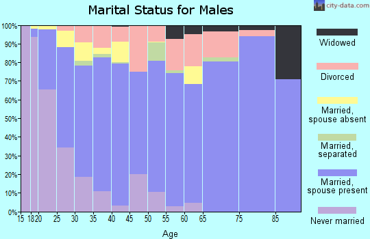Zip code 84078 marital status