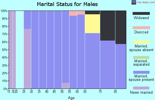 Zip code 84082 marital status for males