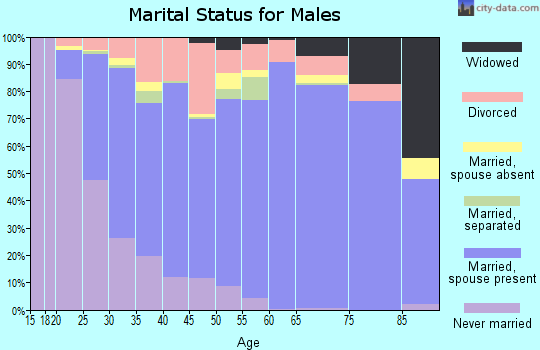 Zip code 84084 marital status for males