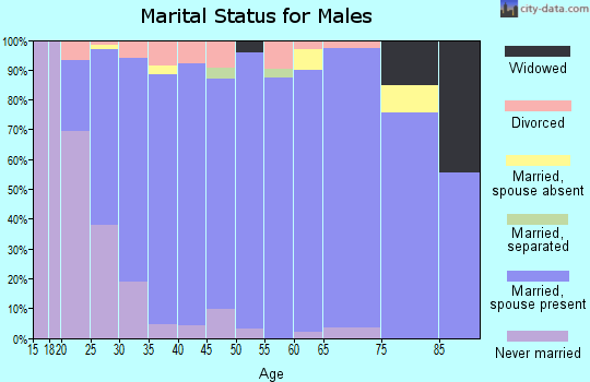 Zip code 84087 marital status for males