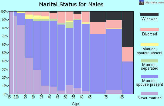 Zip code 84088 marital status for males