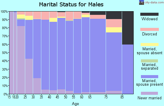 Zip code 84095 marital status for males