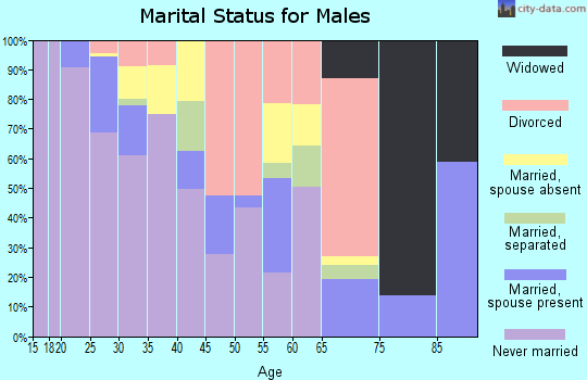 Zip code 84101 marital status for males