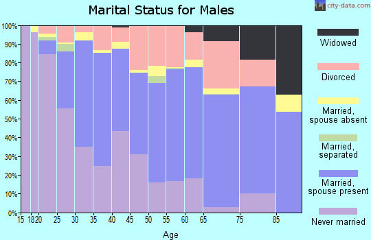 Zip code 84106 marital status for males