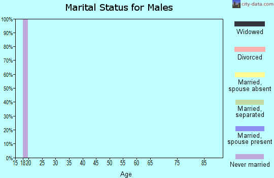Zip code 84113 marital status for males