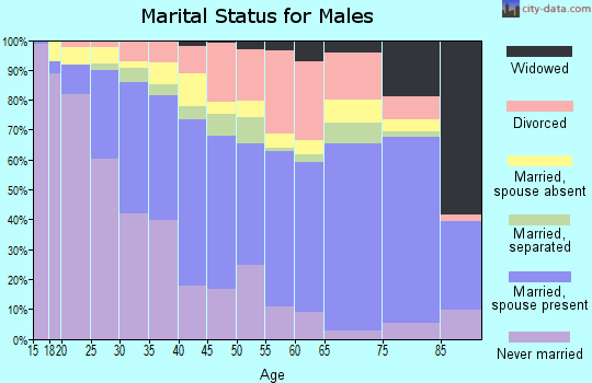 Zip code 84119 marital status for males