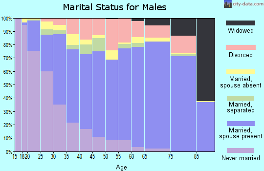 Zip code 84120 marital status for males