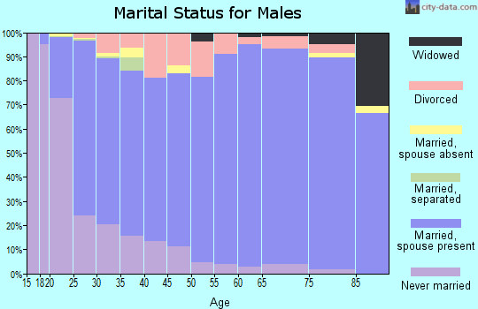 Zip code 84302 marital status for males