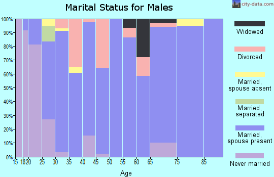 Zip code 84312 marital status for males