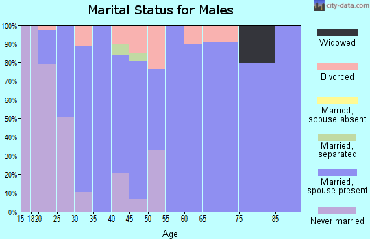 Zip code 84315 marital status for males