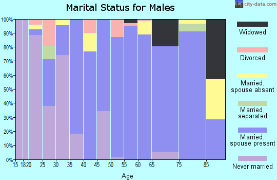 Zip code 84317 marital status for males
