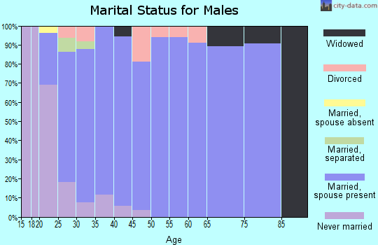 Zip code 84318 marital status for males