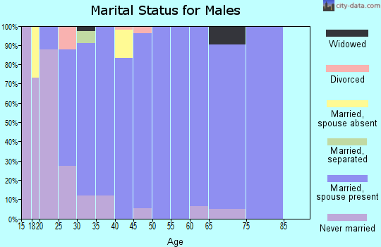 Zip code 84319 marital status for males