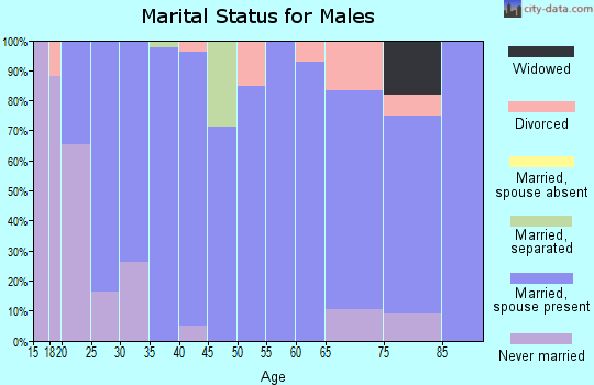 Zip code 84320 marital status for males