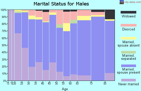 Zip code 84321 marital status for males