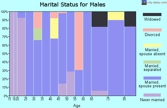 Zip code 84325 marital status for males