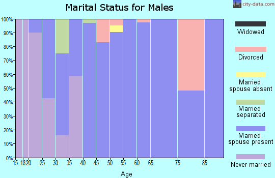 Zip code 84328 marital status for males