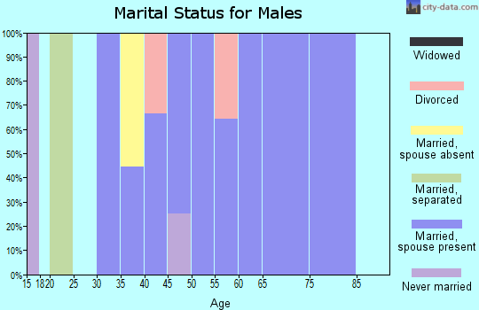 Zip code 84330 marital status for males