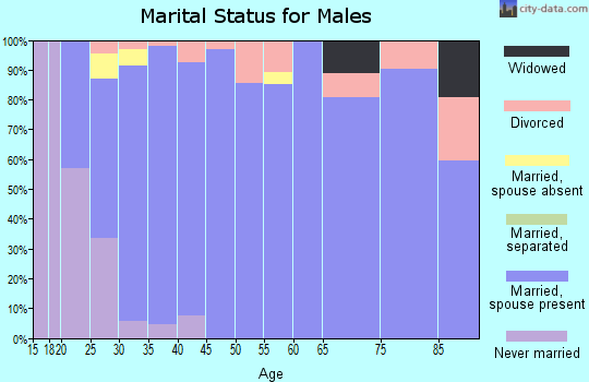 Zip code 84332 marital status for males