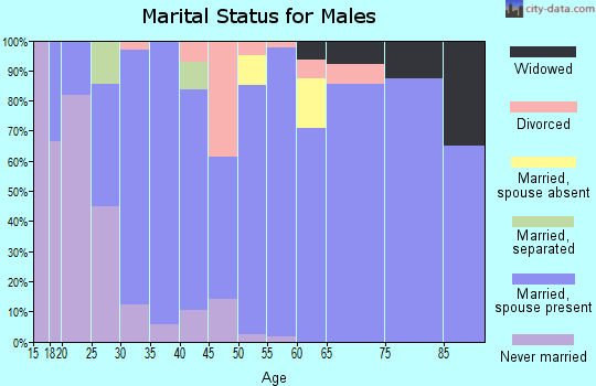 Zip code 84333 marital status for males