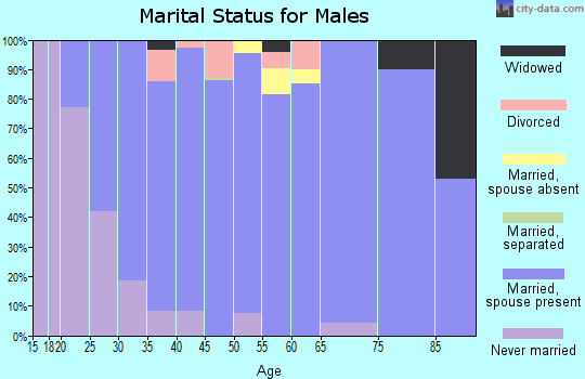 Zip code 84335 marital status for males