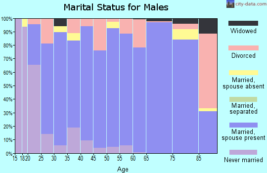 Zip code 84337 marital status for males