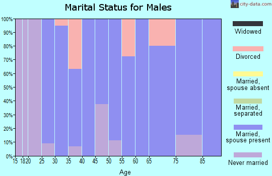 Zip code 84338 marital status for males