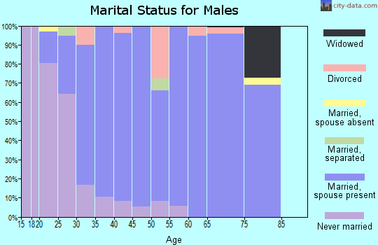 Zip code 84339 marital status for males