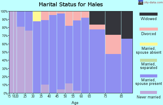 Zip code 84340 marital status for males