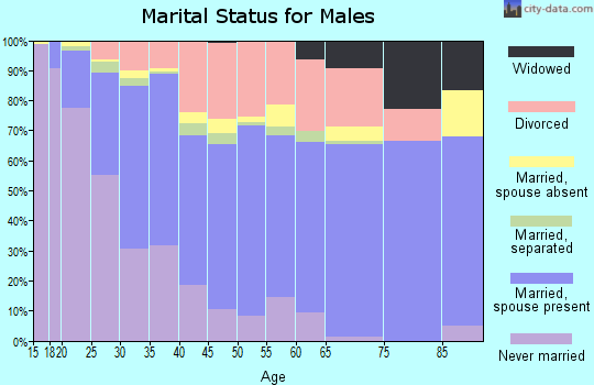 Zip code 84401 marital status for males