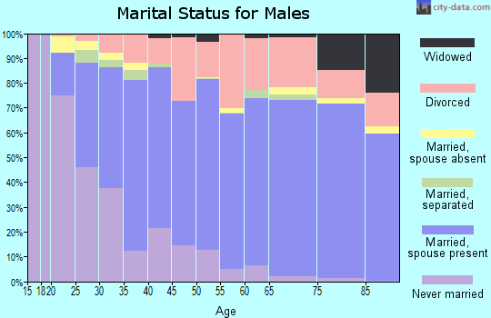 Zip code 84403 marital status for males