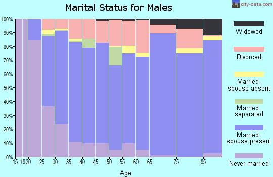 Zip code 84405 marital status for males