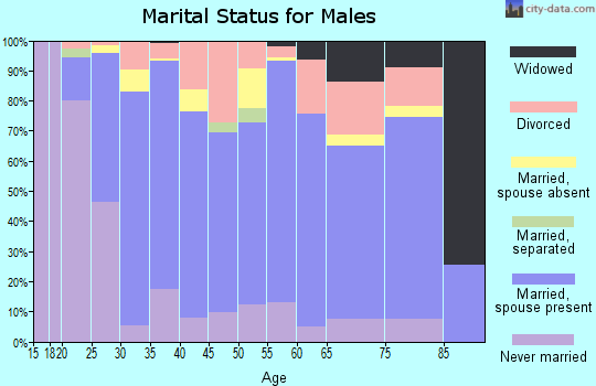 Zip code 84501 marital status for males