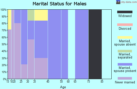 Zip code 84510 marital status for males