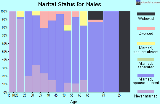 Zip code 84511 marital status for males