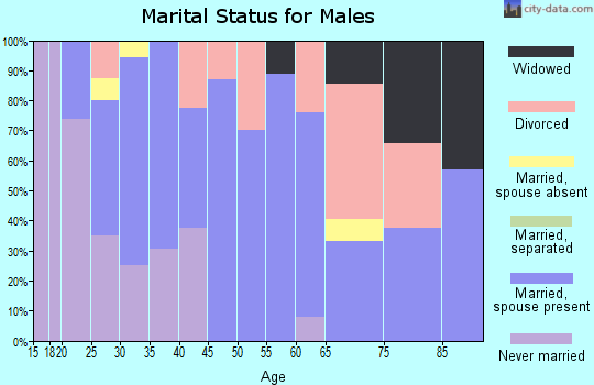 Zip code 84513 marital status for males