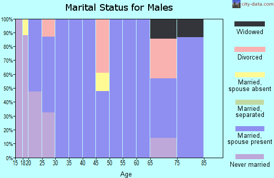 Zip code 84518 marital status for males