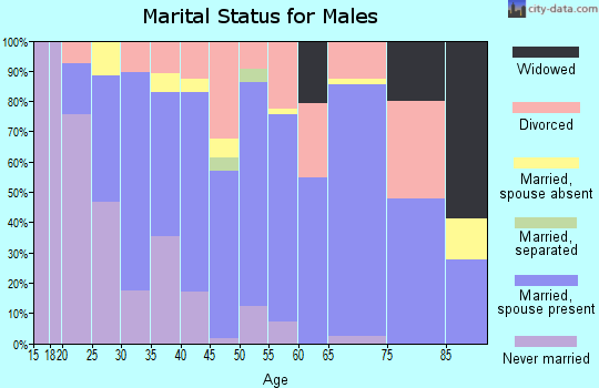 Zip code 84526 marital status for males