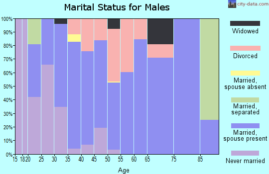 Zip code 84528 marital status for males