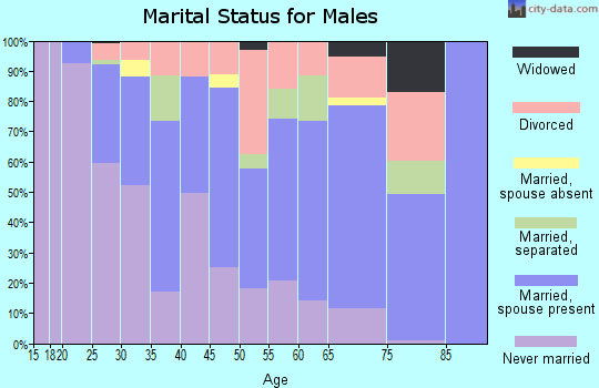 Zip code 84532 marital status