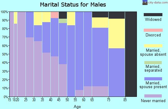 Zip code 84534 marital status for males