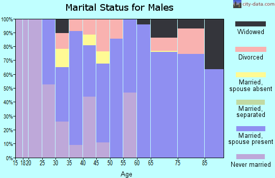 Zip code 84535 marital status for males