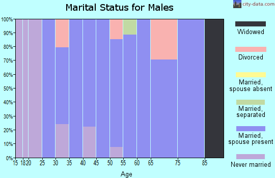 Zip code 84537 marital status for males