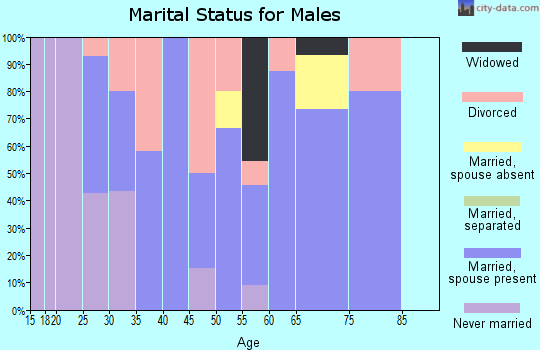 Zip code 84539 marital status for males