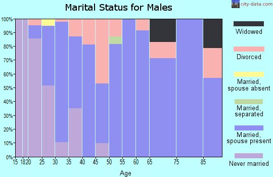 Zip code 84542 marital status for males