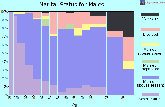 Zip code 84601 marital status for males