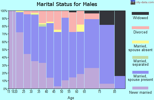 Zip code 84606 marital status for males