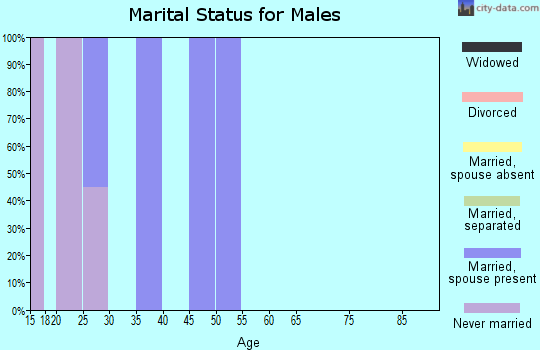 Zip code 84623 marital status for males