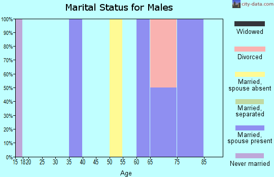 Zip code 84626 marital status for males