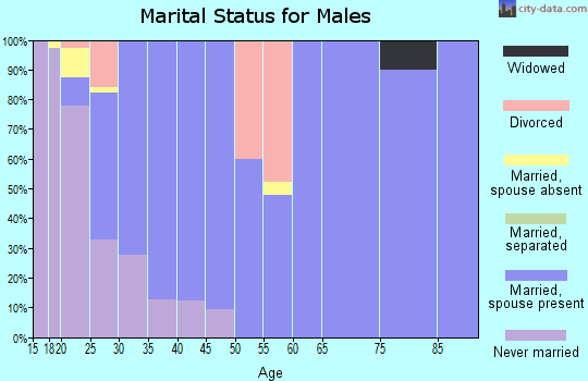 Zip code 84627 marital status for males